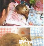 ̩������ͯʬ��ͷ��ָ���Բ�������