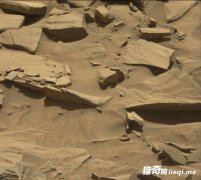 �������ٴη��֡����ӡ�����Щ��������ܡ�֩�룬���Ǵ���ô��