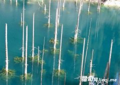 ����Ȼ!��Ƭ�����ں�ˮ�е�������