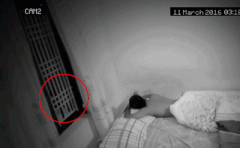 ���Ӿ��������� �����Ƶ���˺�ëֱ��