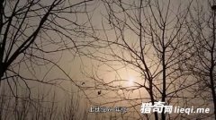 �����ڳ��峯�Ź� �Ͽ������Ż����Ŷ�