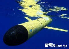 �й����Ϻ�����һ�����¼ ȫ���ƿ�