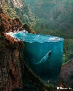 ������Щ��Ƭ �о���������һ��