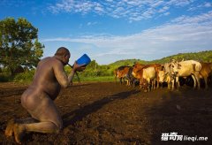 ������侹����Ϊ��,���˺�ţѪ����