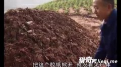 ��̫������ʬ���û�� ����ֱ������