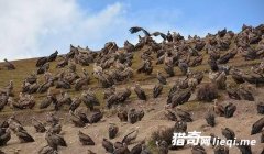 ̫�����ˣ�ʵ�Ĵ���ɫ��������