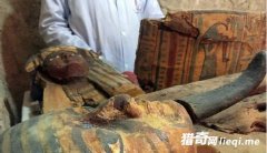 ���������Ⱦ�����ǧ��ż��8��ľ������