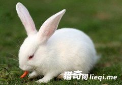 ��ũ���Ͷ������Ĺ��£����𶼺���!