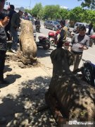 �����ֹ�Ĺ����ʯ�� Ĺ�����ݳ���