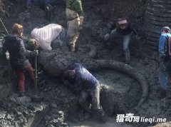 ��ר�ң�������ʷǰ���������