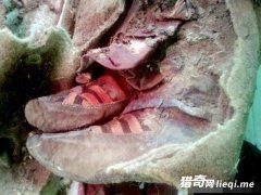 �ɹŹ���1500��ǰľ����