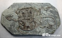 �к����ֻ�ʯ ��������������