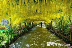 ����������10����������������4�����й���һ��