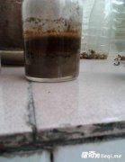 �ֲ�������Ʒ��а֮��: ʬ�� Ѫ��