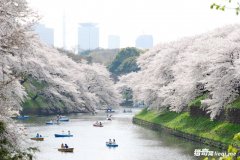 ��������̫������ֵ��һ������һ����ʱ�䶼�����갡