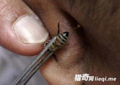 ��Щ���Ҿ�Ȼ���������ķ����β�����Щƫ���β���ҳ�����