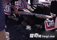 ����10��ֵ�ϰ�ף�����ʬ��������