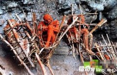 ��ֲ�������ͳ �������᲻��ɶ