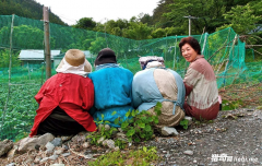 ����ȫ���������Ĵ�ׯ��������ֻ��һ������