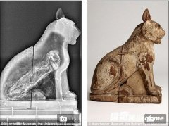 ���أ��Ű�������ľ��������