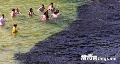 ɵ�ۣ�������Ӿʱ���ֺں���һƬ