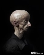 һ��ֻ��20��ġ���ͷ������������������Ϊ��������