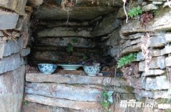 ���ݡ����˷ء�����ľ�Ȼ�ǻ��ˣ�