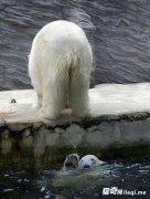 ʵ�ģ�����Ҳ��񣬾��ų���Ц�������˲����