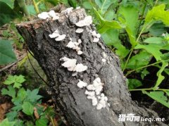 ���ϳ�������������� ȴ