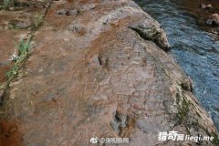 ���ݺ�̲��68ö���ֽ�ӡ�� ������ǰ�����㼣