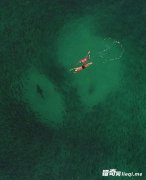 ̫�̼������������ں�����Ӿ ����ȴ��8���������ڲ�ʳ