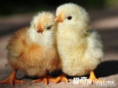 ���ڶ������ЩС���ܣ�֪���˻�������������