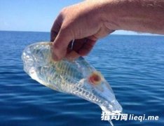 ��������һ�������� ���ס��3��Ժ��