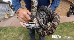 ����������������һ�����Ӱǿ�֮�����������ˣ�