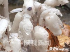 �����������֡�����֮����ˮ����