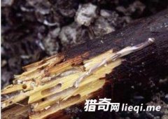 ���ӿ���ʱ�����쳣��ľͷһ������ʱð�亹