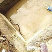 Ů�ӷ��֣���ͷ���ߣ� ר�Ҹ�����֪�񵽱�