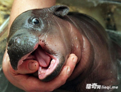 ��������ܿɰ�?�����Σ����!