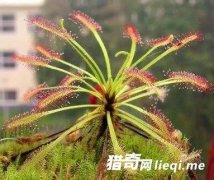 �����ϵ���Ȥֲ��㶼֪����Щ��