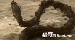 ����!��������Ѩ˲����˰׹�