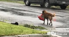 ������ǿ쫷� С���������Ծȡ��ߺ�