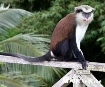 ȫ��15����ֵǮ�ĳ��ֻ����������������