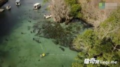 ���ӳ˴�����ˮ��һЩʯͷ���ƶ�������һ������