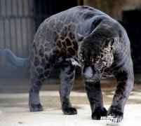 ��Щ��������Ȼ�硰��ɫ�Ĵ��ڡ�������ȴ����ʵ������Ҳ��ͬ