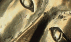 ���18�ĳ¹�������Ϊ�δ��Żƽ������˾˺���?