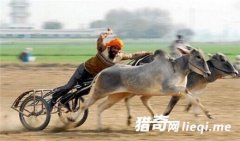 ӡ������������ ���ٶ���ͷ���ڻ���