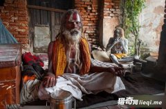 ӡ����Ⱥ��һ��ֻϴ�����裬ÿ������ʬΪʳ�������黹�Ϸ�