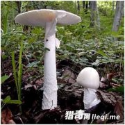 ��Ģ���Ƕ���֮��!50�������ó����˱���