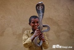 ӡ�������ߣ������������ϱ����������ʧ��Σ��