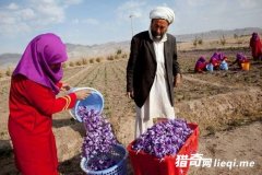 ʵ�ģ��Ȼƽ�ֵǮ���ӹŲ�˹��������زغ컨������ʲô